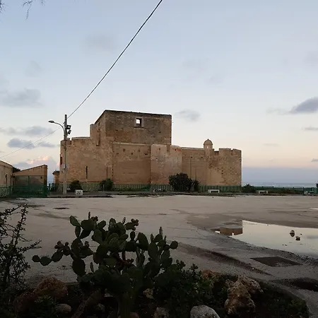 B&brucoli